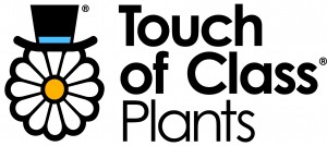 Touch of Class - Logo